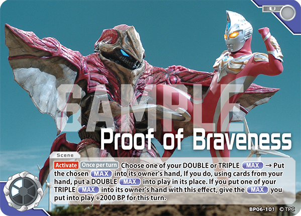 Proof of Braveness BP06-101