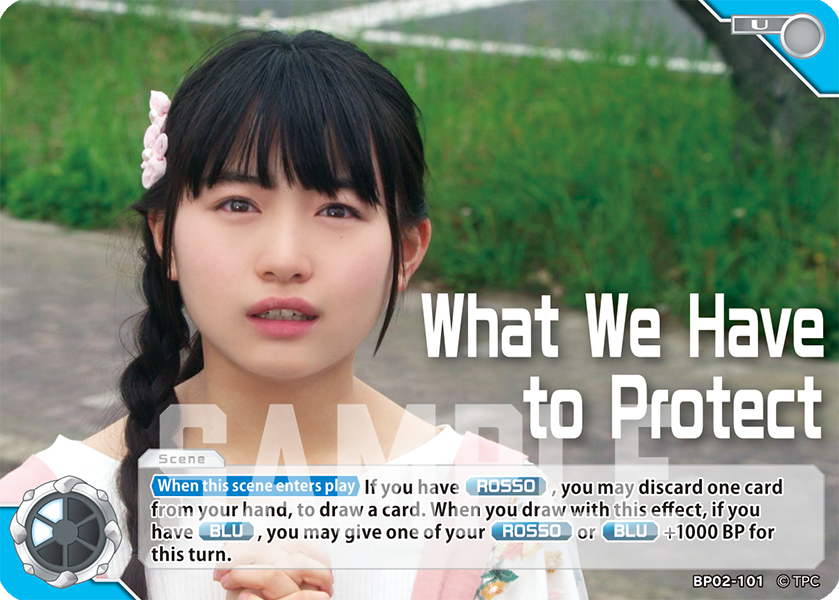 What We Have to Protect BP02-101